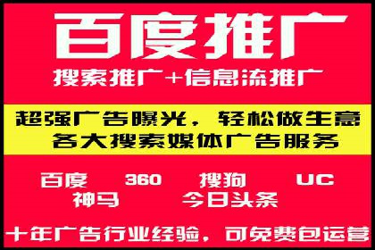 提升转化率：SEM竞价专员的案例研究